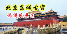 清纯美女被插的啊啊直叫逼水直流视频中国北京-东城古宫旅游风景区